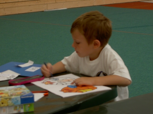 Village Camps International Summer Camp VDC Geneva 2016-08-12 https://www.villagecamps.com/journals_admin/images/308-6-Picture 028.jpg